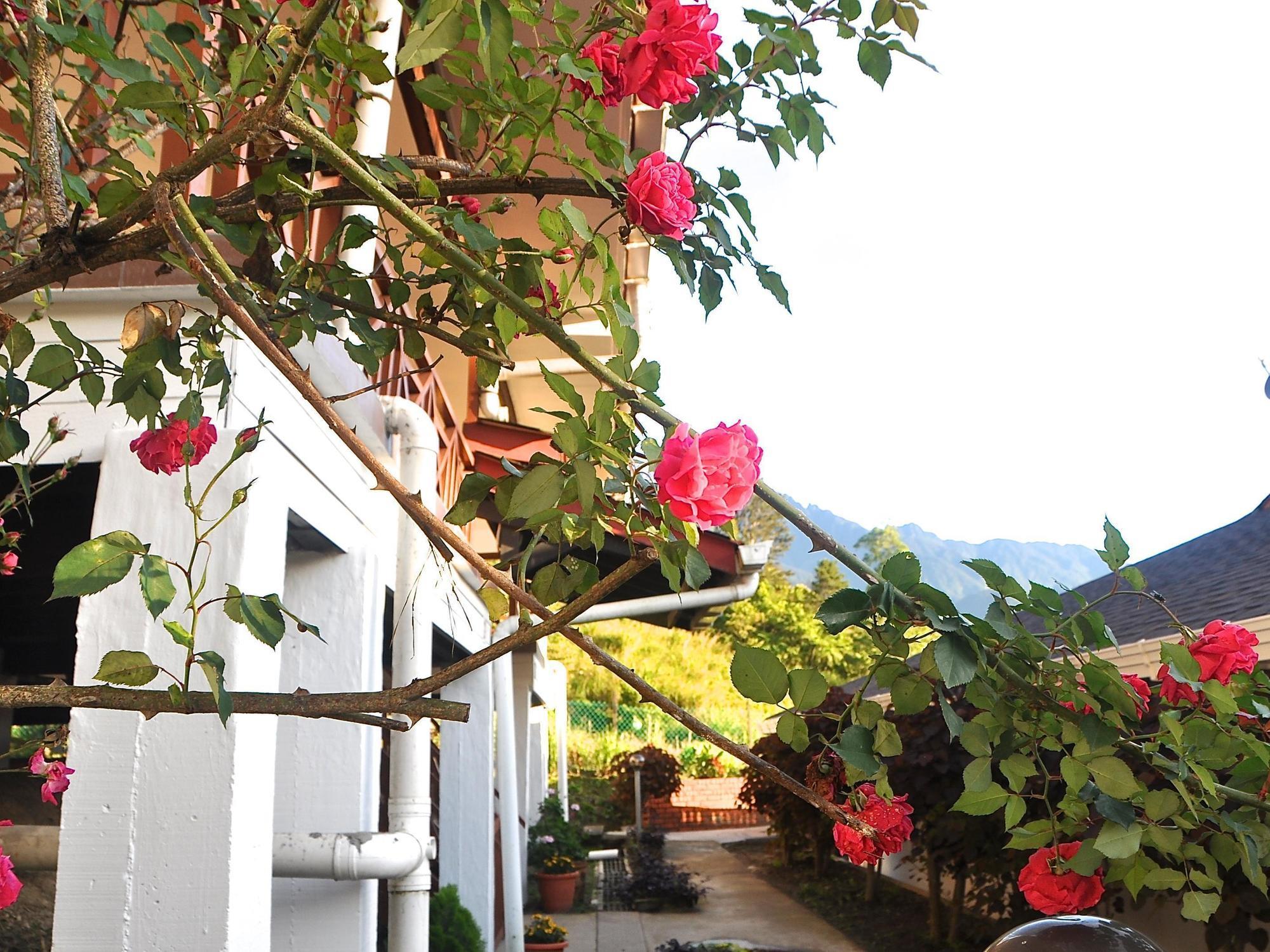 Nabalu Kundasang Lodge Εξωτερικό φωτογραφία